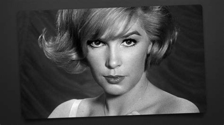 Uncovering The Many Facets Of Stella Stevens' Relationships