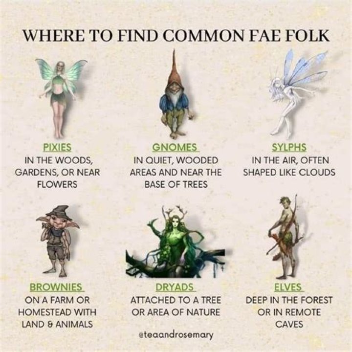 Understanding Fae: Myths, Beliefs, And Their Modern Interpretations