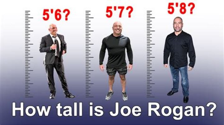 Understanding Prince's Height In Feet: A Deep Dive Into The Icon's Stature