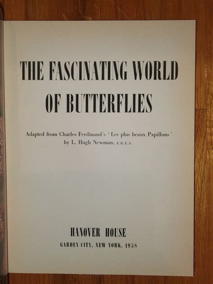 Understanding The Fascinating World Of Botflies