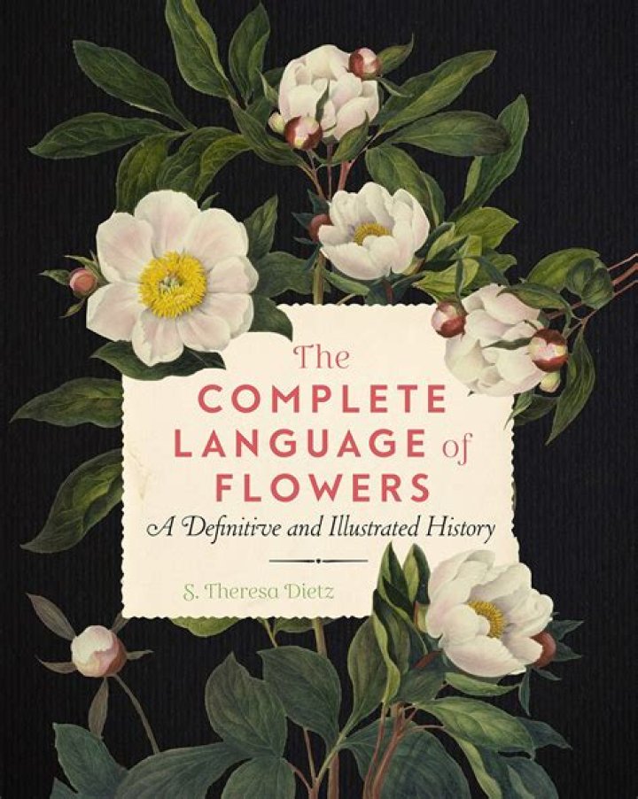Understanding The Flower Language Filter: A Comprehensive Guide