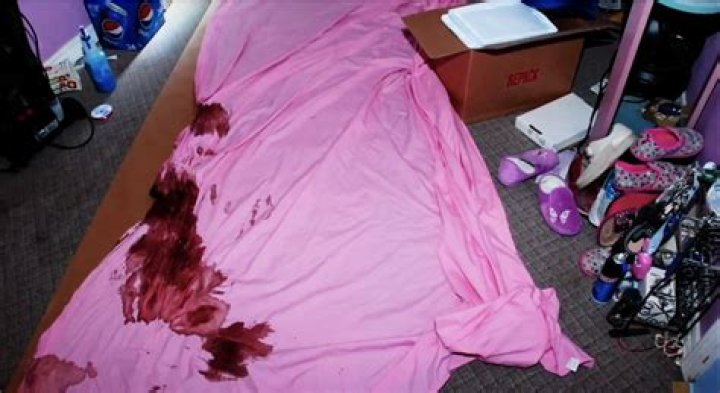 Understanding The Reddit Gypsy Crime Scene: A Deep Dive Into The Phenomenon