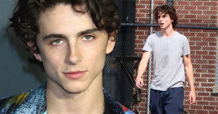 Understanding Timothée Chalamet's Weight: The Actor's Journey And Transformation