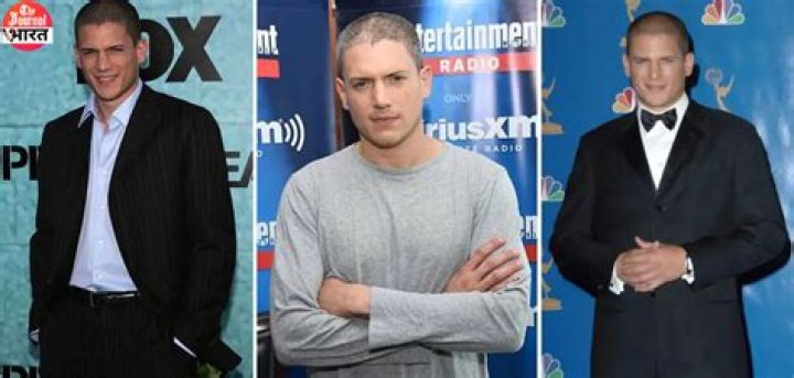 Understanding Wentworth Miller's Personal Life: Who Is His Wife?