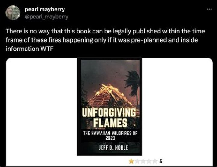 Unforgiving Flames Hawaii book on Amazon intensifies Maui conspiracy 