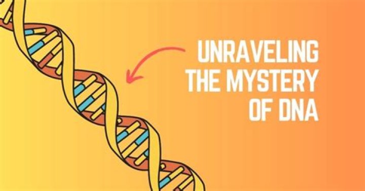 Unraveling The Mysteries Of Detective Brian Gillis
