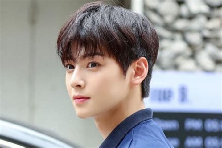 Unraveling The Mystery Of Cha Eun Woo's Girlfriend