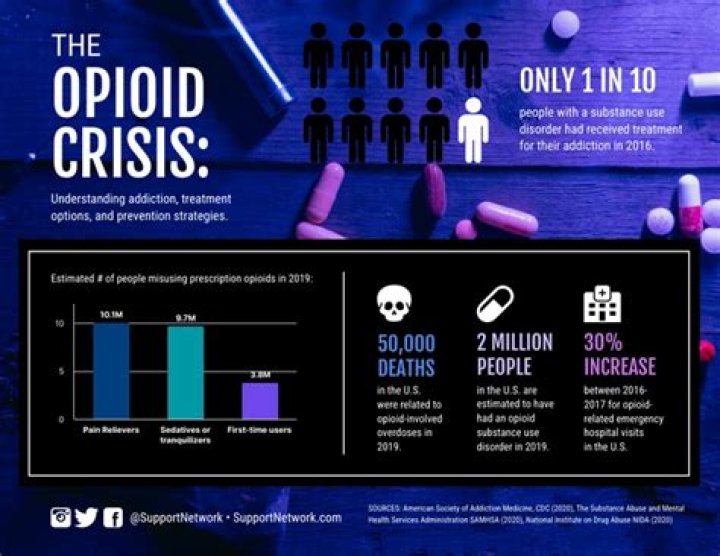 Unveiling Hannah Gottesman's Pioneering Work In The Opioid Crisis
