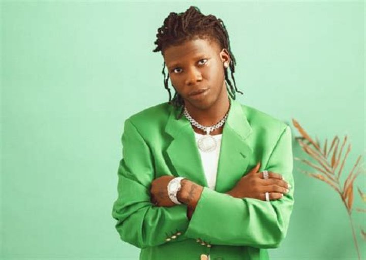 Unveiling Seyi Vibez's Net Worth 2024: A Journey Of Success