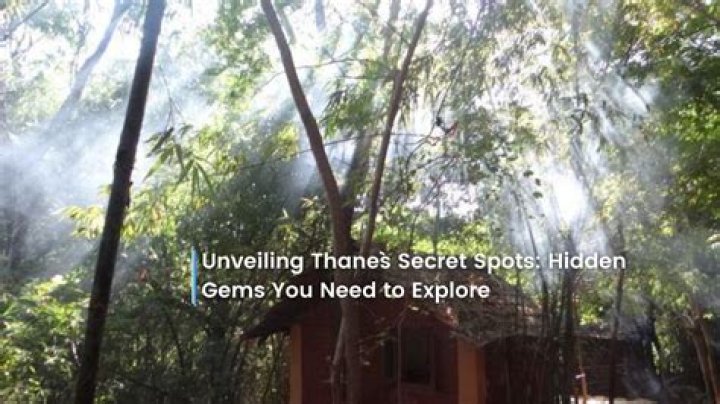 Unveiling Thane Ormsby: Discoveries And Insights Await