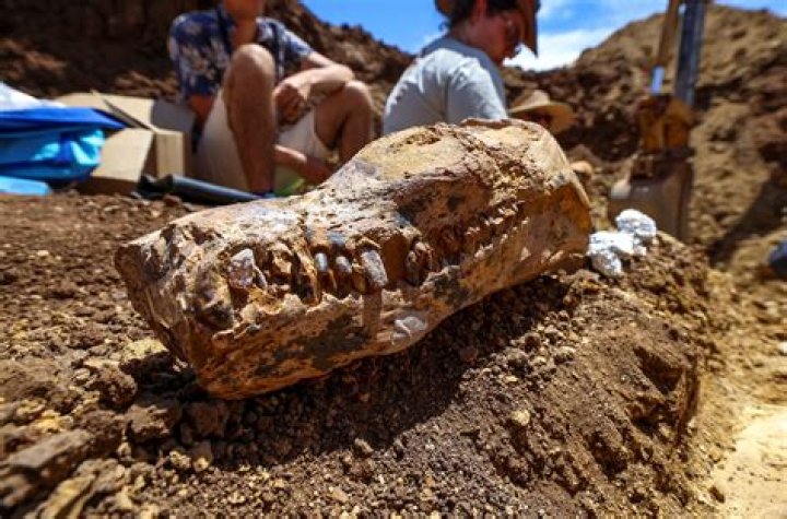Unveiling The Age Of Ken Todd: Discoveries And Insights