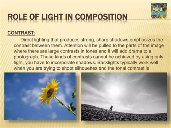 Unveiling The Art Of Photography: Tips For Composition, Lighting, And Storytelling