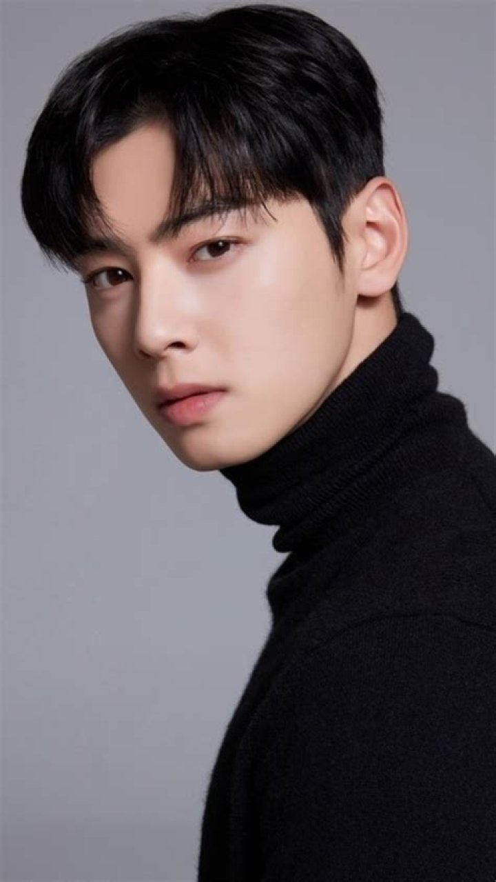 Unveiling The Heart Behind The Star: Cha Eun Woo's Mother Picture