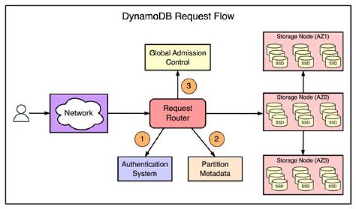 Unveiling The Journey Of Amazon Amanda: A Unique Dynamo In The World Of Models