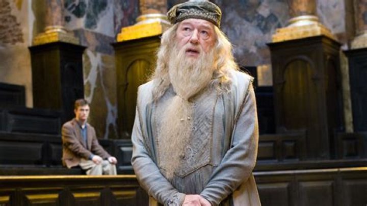 Unveiling The Lives Of Michael Gambon And Anne Miller