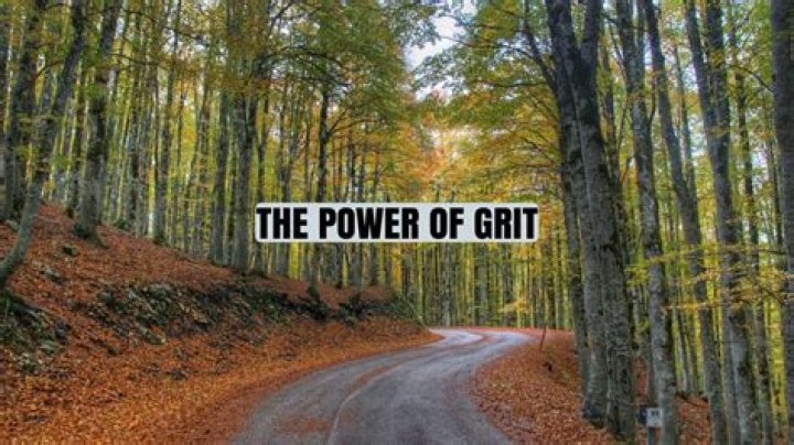 Unveiling The Power Of Grit: Discoveries From Sara Munn's Research