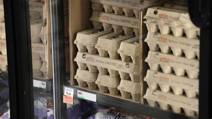 US farm group calls for probe of high egg prices
