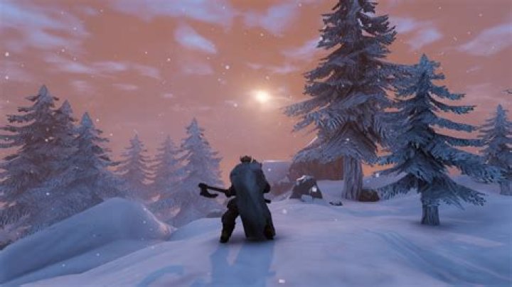 Valheim: How to Get Amber & What to Do With It