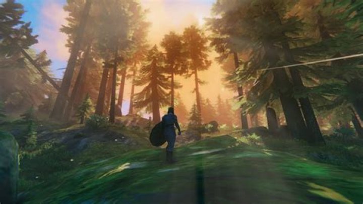Valheim: How to Get Wishbone & What It Does