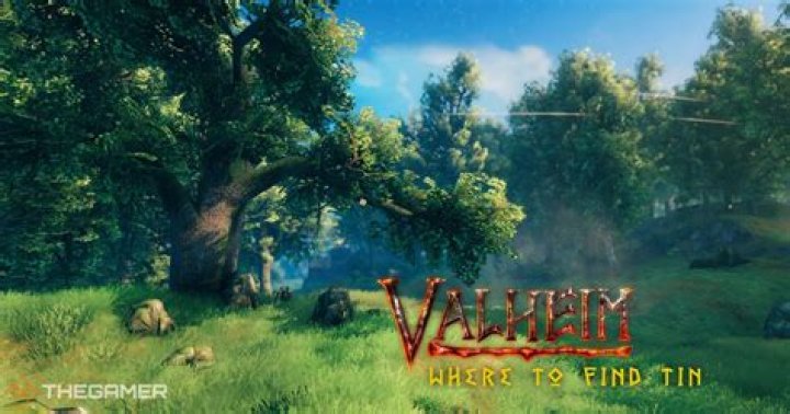 Valheim Tin Deposits: Where to Find Them