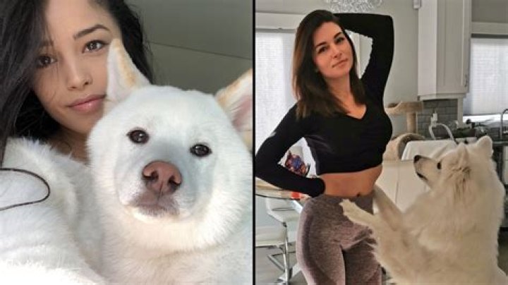 Valkyrae weighs in on Alinity dog controversy