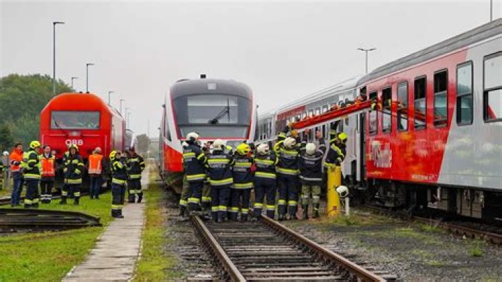 Verletzter Leitlöwe – 11FREUNDE