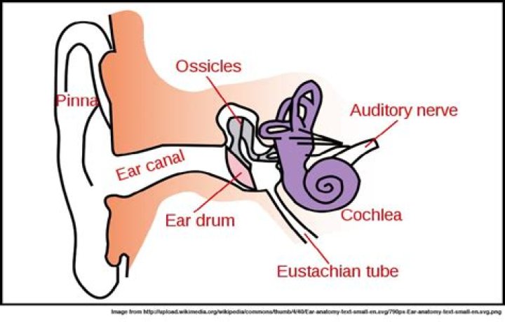 Vibrations Surround Us: The Science of Music