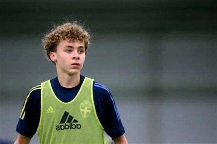Vincent Ibrahimović: Age, Biography, And More