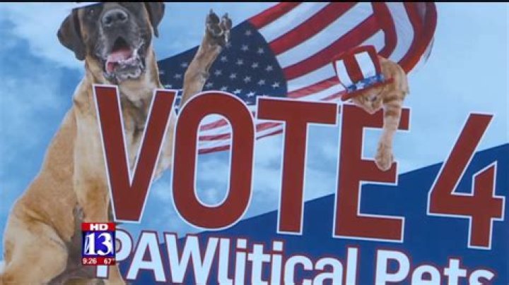 Voting Begins For Salt Lake County Pet Mayor