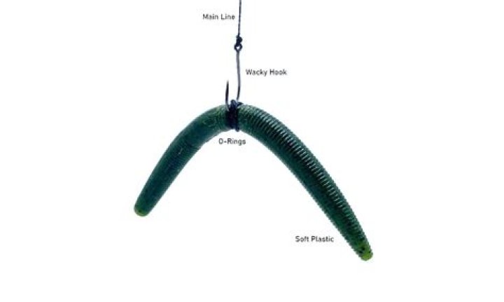 	WACKY RIGS HELP YOUNG ANGLERS SET HOOK	