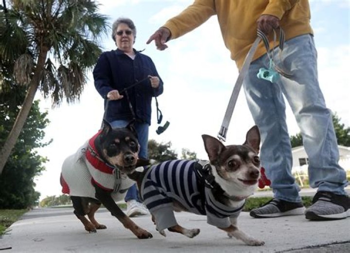 
Weather |	Arctic air is blasting most of the US this weekend. Will it reach South Florida?	