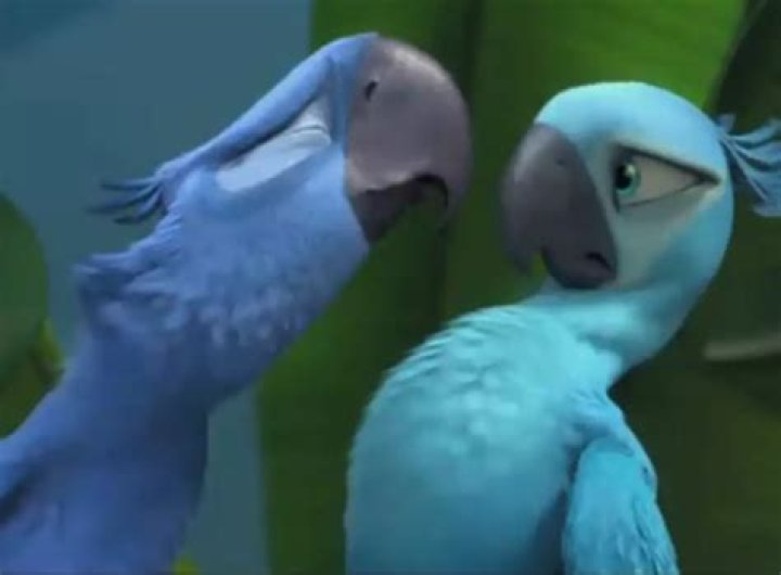 Weekend Box Office - RIO Breaks 2011's Box Office Losing Streak with $40 Million Debut