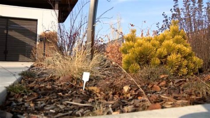 West Jordan water district offers locals help amid Great Salt Lake water crisis