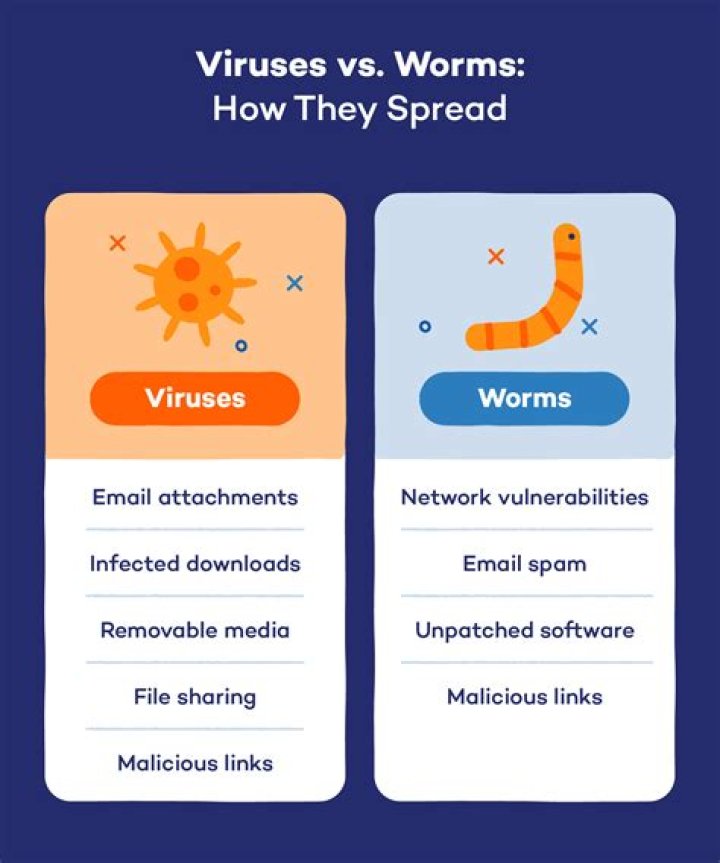 What's the Difference Between Malware, Computer Viruses, and Worms?