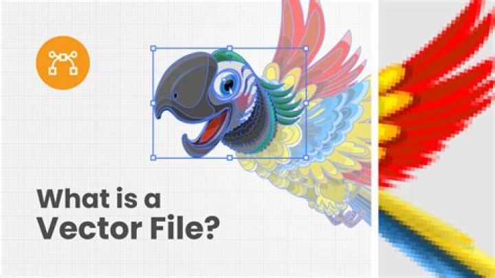 What Is a Vector File?