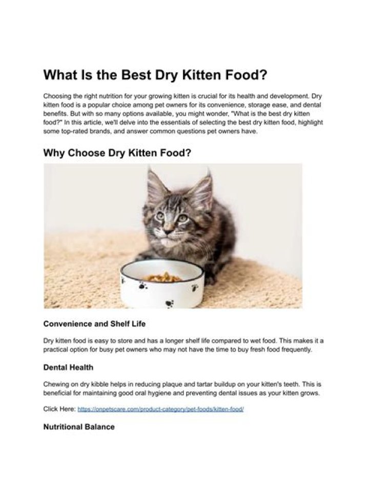 	What is the best dry kitten food?	