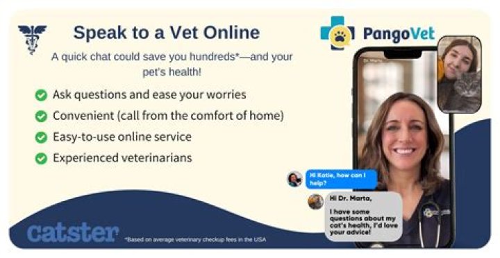 What Temperatures Do Cats Like? Vet-Approved Facts & Safety Tips | PangoVet