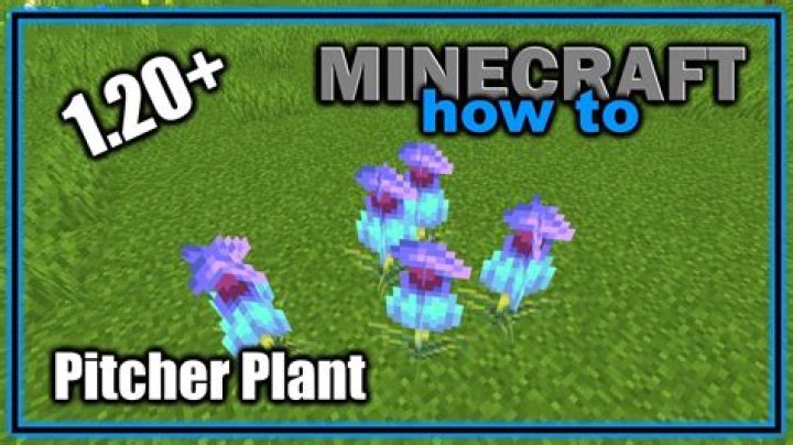 What to do with pitcher pod in Minecraft 1.20 update