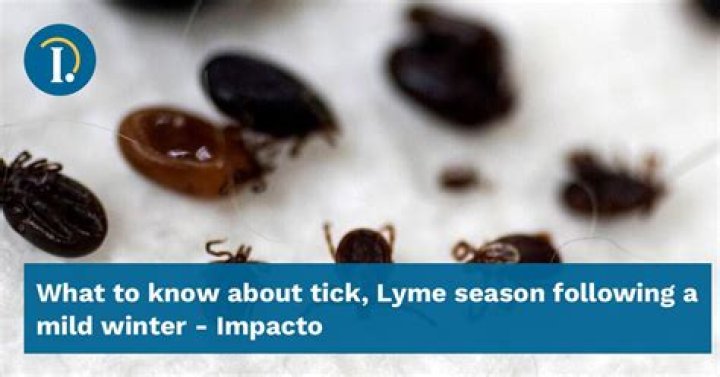 	What to know about tick, Lyme season following a mild winter	