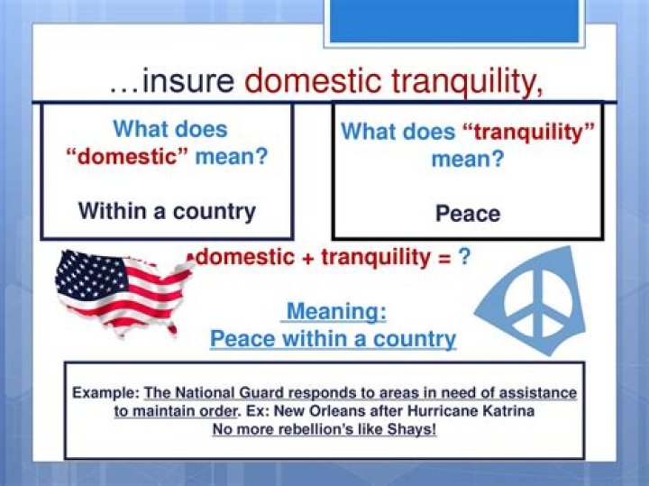 	WHAT WE WANT IS DOMESTIC TRANQUILITY	