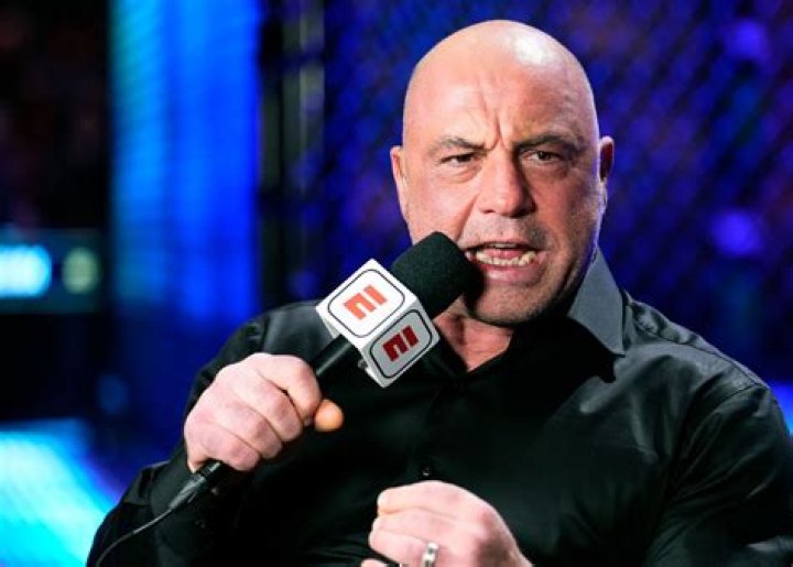 Where Did Joe Rogan Grow Up? A Deep Dive Into His Early Life And Background