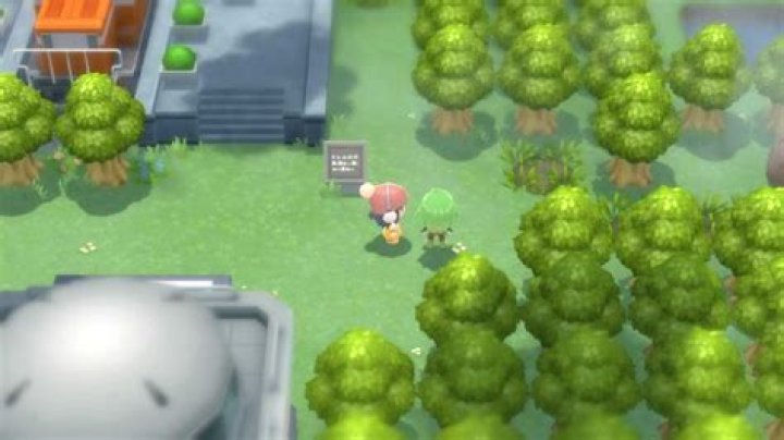 Where to Get Defog in Pokemon Brilliant Diamond and Shining Pearl