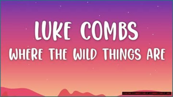 Who Did Luke Combs Write 