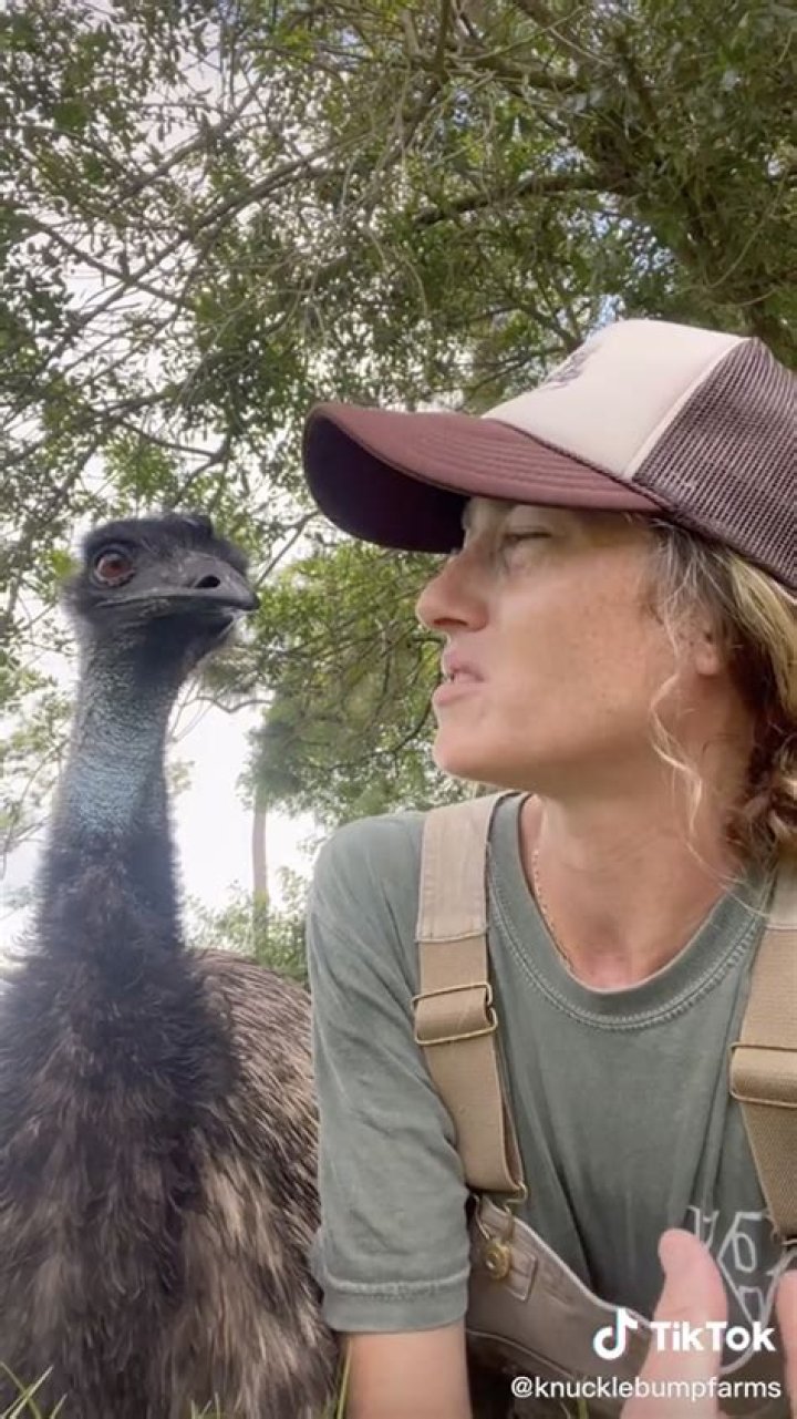 Who is Taylor Blake on TikTok? Racist tweet drama explained amid Emmanuel the emu’s illness