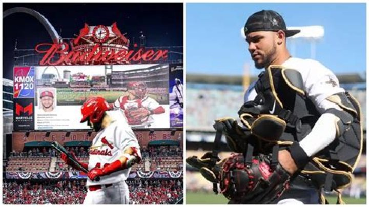 Who is Willson Contreras’ Wife?