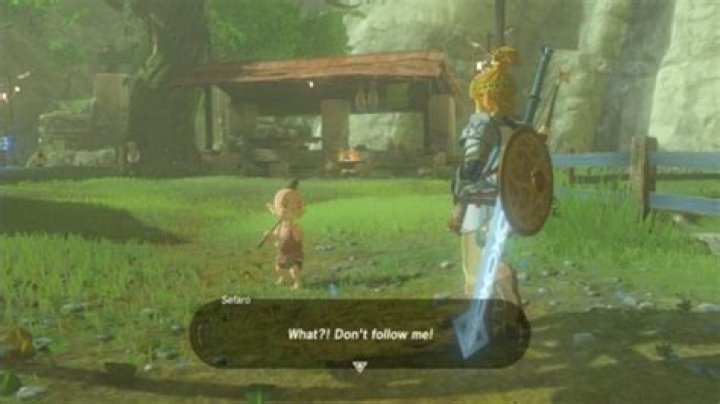 Who’s the Ugliest NPC in Zelda: Breath of the Wild?