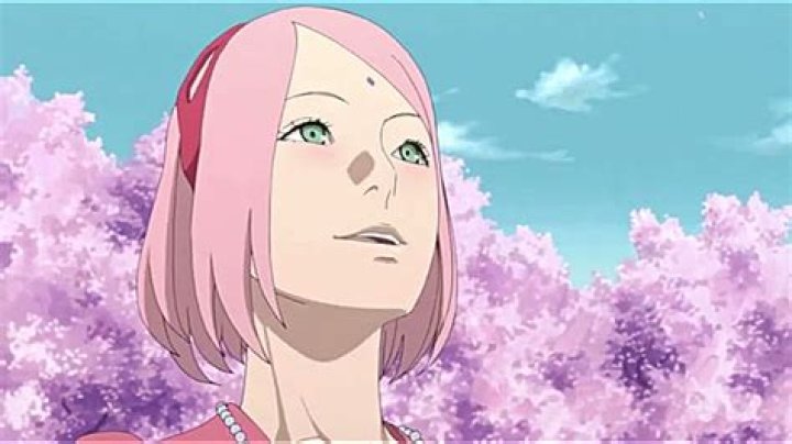 Why Sakura in Sasuke Retsuden is more beloved than in the Naruto canon, explained