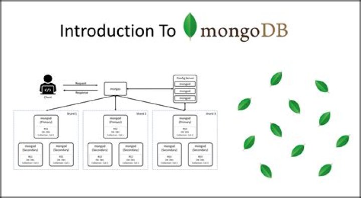 Working With Data Relationships in MongoDB