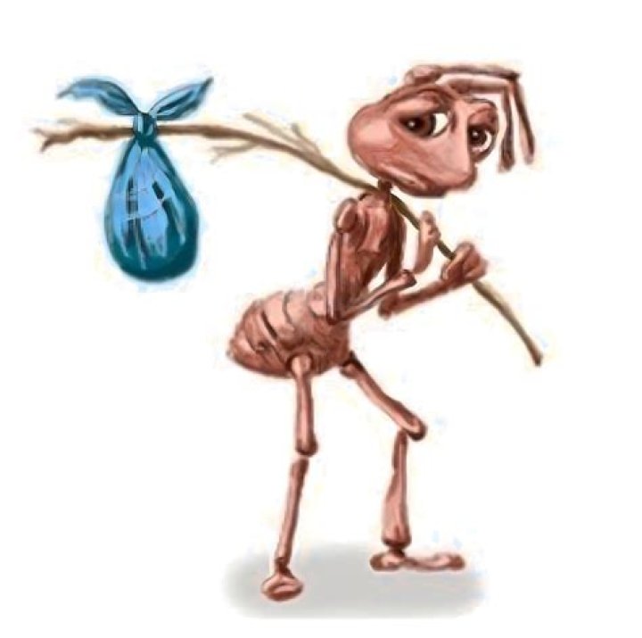 	WORRIED ABOUT SHOOING MILLENNIUM BUG FROM YOUR SURVIVAL DOME?	