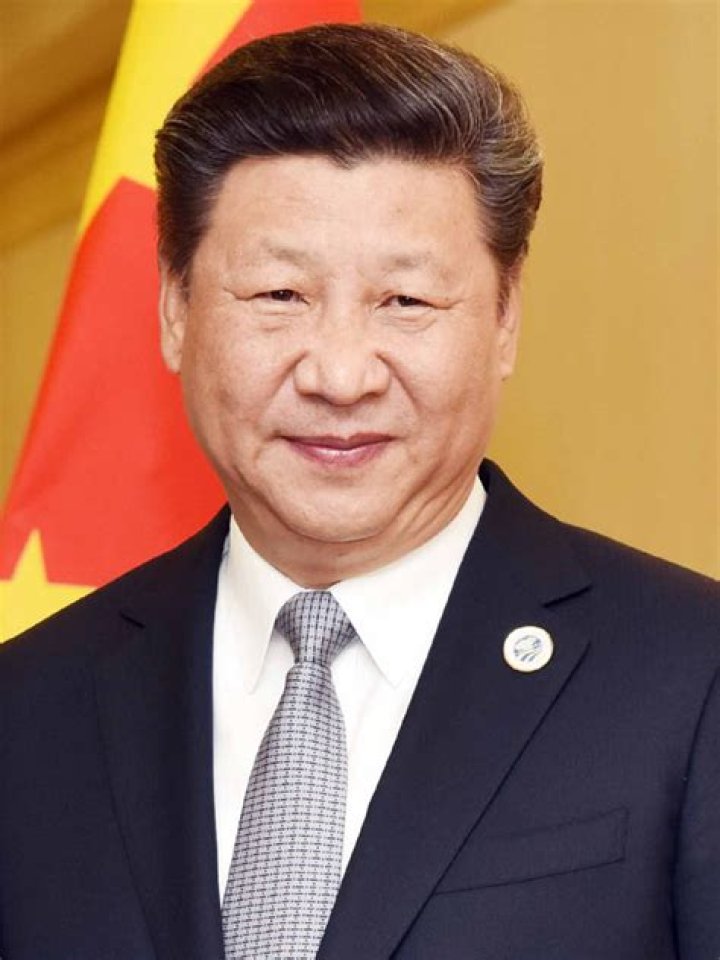 Xi Jinping Vermögen